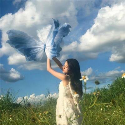 花系列:一