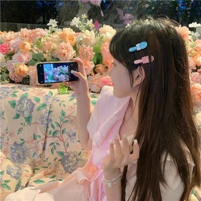 香港白蔷薇